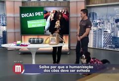 Porque humanizar os cães é tão ruim aos cães – TV Gazeta