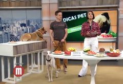 Obesidade nos cães e alimentos proibidos – TV Gazeta