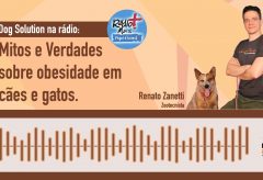 Mitos & Verdades sobre a obesidade nos Pets – Rádio Mais!