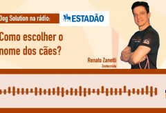 Como escolher o nome dos cães? – Rádio Estadão