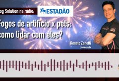 Fogos de artifício e os Pets. Como lidar? – Rádio Estadão