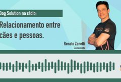 Relacionamento saudável entre cães e pessoas – Rádio Globo