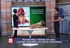 Saúde bucal nos cachorros – TV Gazeta