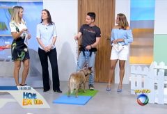 Dicas de saúde e comportamento para os cães – TV Record