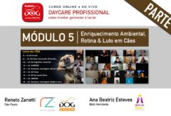 Módulo 5 – Enriquecimento Ambiental, Rotina & Luto em Cães (parte 1)