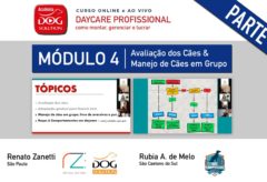 Módulo 4 – Avaliação dos Cães & Manejo de Cães em Grupo (parte 2)