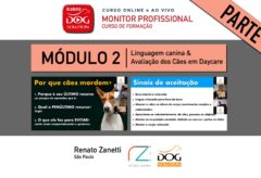 ​Módulo 2 – Linguagem canina & Avaliação dos Cães em Daycare (parte 1)