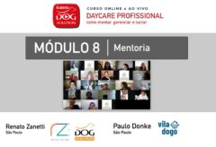 Módulo 8 – Mentoria